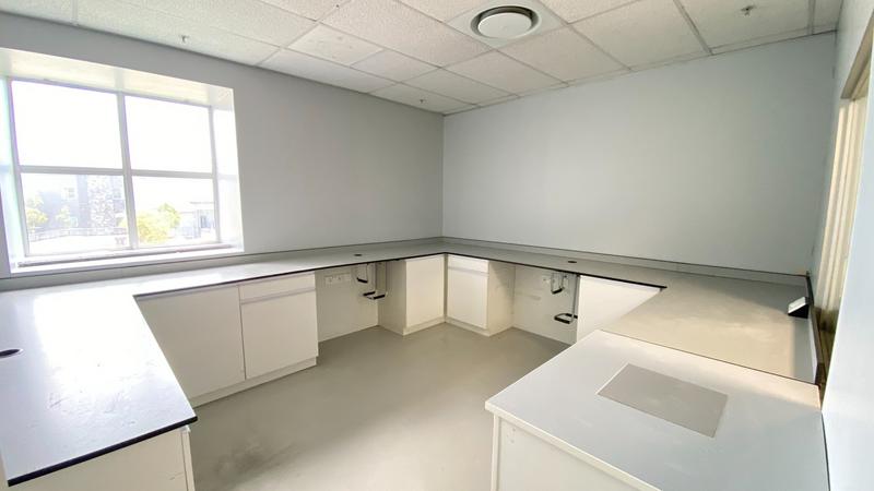 To Let commercial Property for Rent in Montague Gardens Western Cape